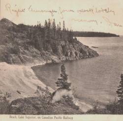 Crown Of Asteria : Rogue Waves